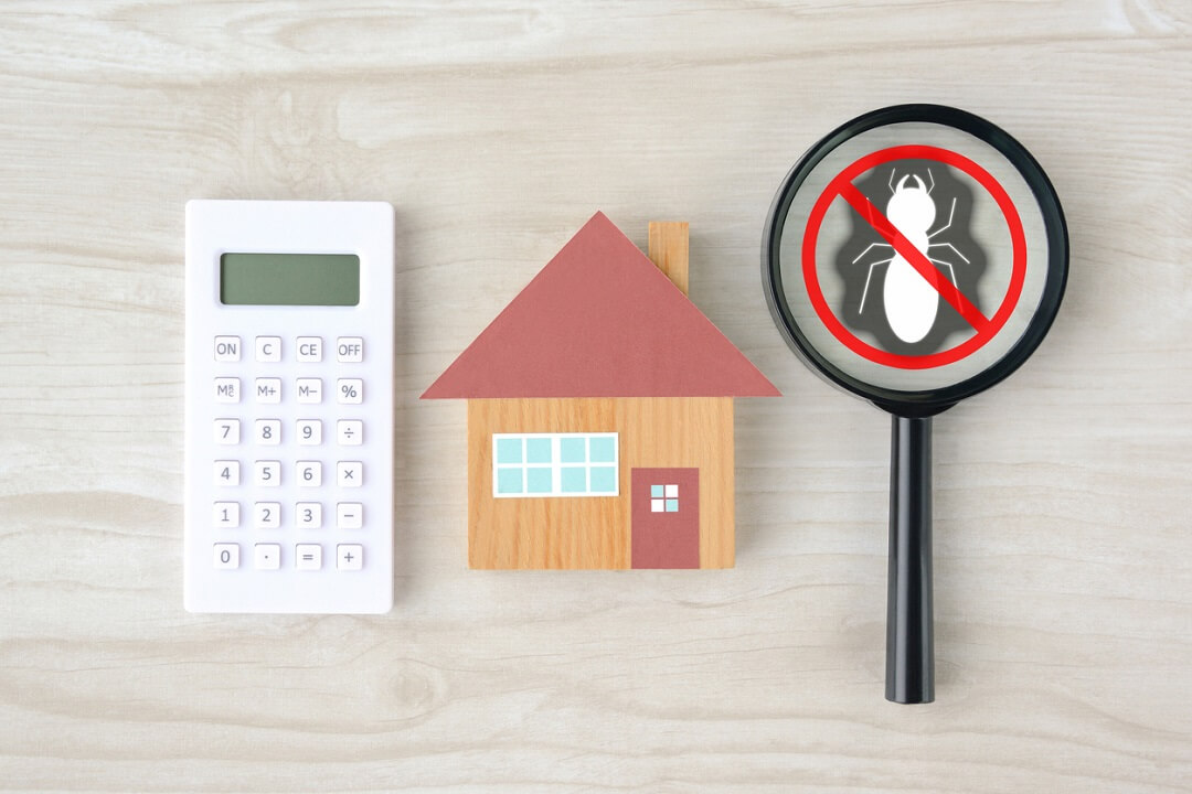 Termite damage repair cost estimate
